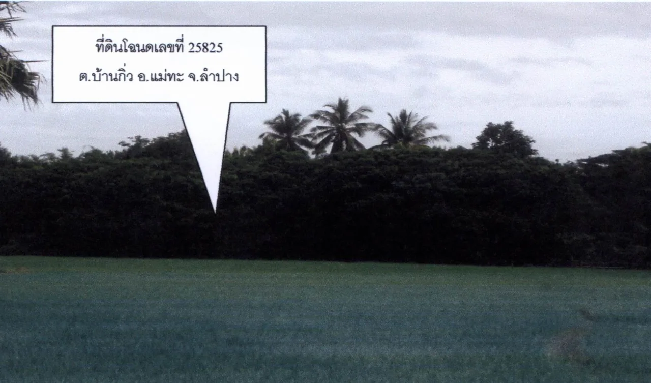 ขายทอดตลาด ที่ดินว่างเปล่า ต.บ้านกิ่ว อ.แม่ทะ จ.ลำปาง