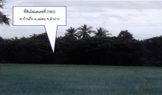 รูปทรัพย์ 1
