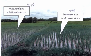 รูปทรัพย์ 2