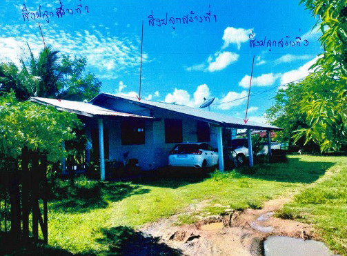 ขายทอดตลาด ที่ดินพร้อมสิ่งปลูกสร้าง ต.บัวแดง อ.ปทุมรัตต์ จ.ร้อยเอ็ด