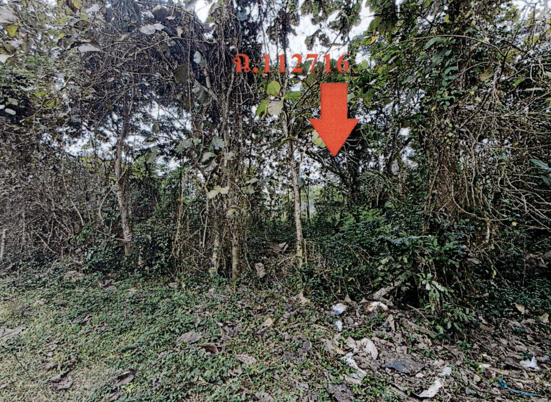 ขายทอดตลาด ที่ดินว่างเปล่า ต.ชมพู อ.เมืองลำปาง จ.ลำปาง