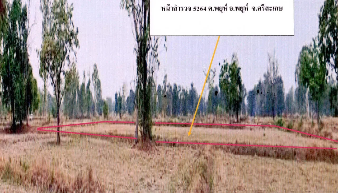 ขายทอดตลาด ที่ดินว่างเปล่า ต.พยุห์ อ.พยุห์ จ.ศรีสะเกษ