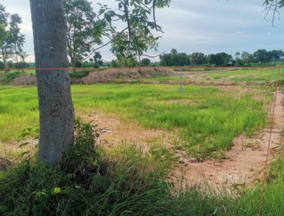 ขายทอดตลาด ที่ดินว่างเปล่า ต.เกาะแก้ว อ.เสลภูมิ จ.ร้อยเอ็ด