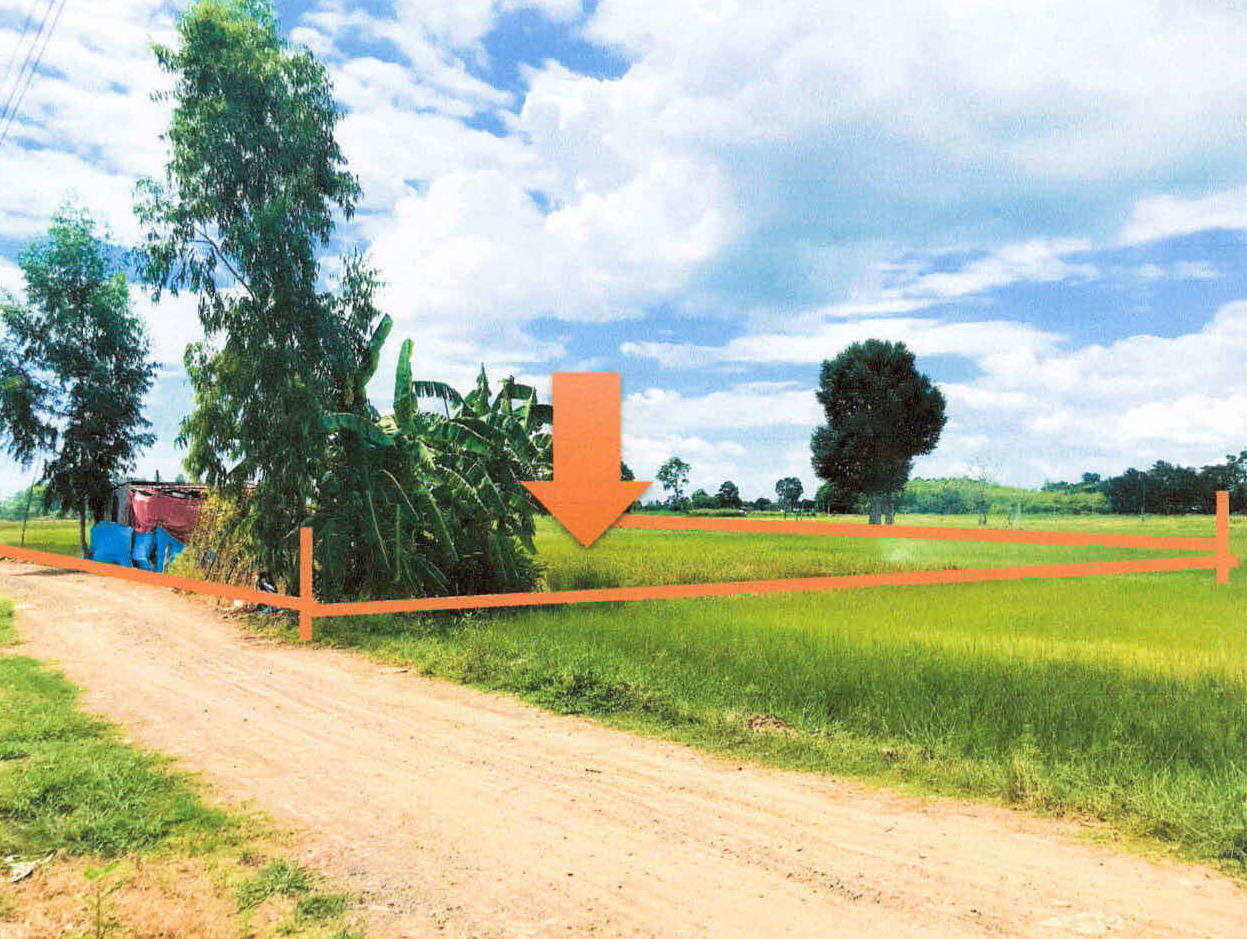 ขายทอดตลาด ที่ดินว่างเปล่า ต.ยางชุมใหญ่ อ.ยางชุมน้อย จ.ศรีสะเกษ
