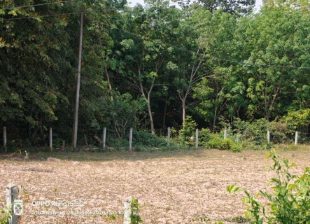ขายทอดตลาด ที่ดินว่างเปล่า จ.ร้อยเอ็ด