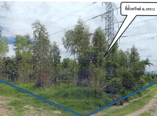 รูปทรัพย์ 1