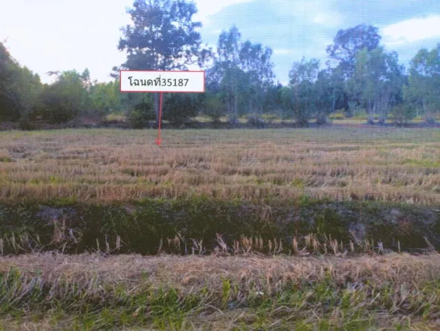 ขายทอดตลาด ที่ดินว่างเปล่า ต.หนองขาม อ.อาจสามารถ จ.ร้อยเอ็ด