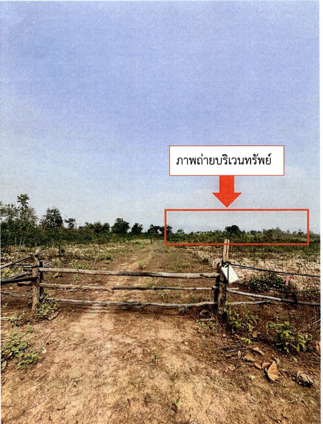 ขายทอดตลาด ที่ดินว่างเปล่า ต.แม่ปุ อ.แม่พริก จ.ลำปาง