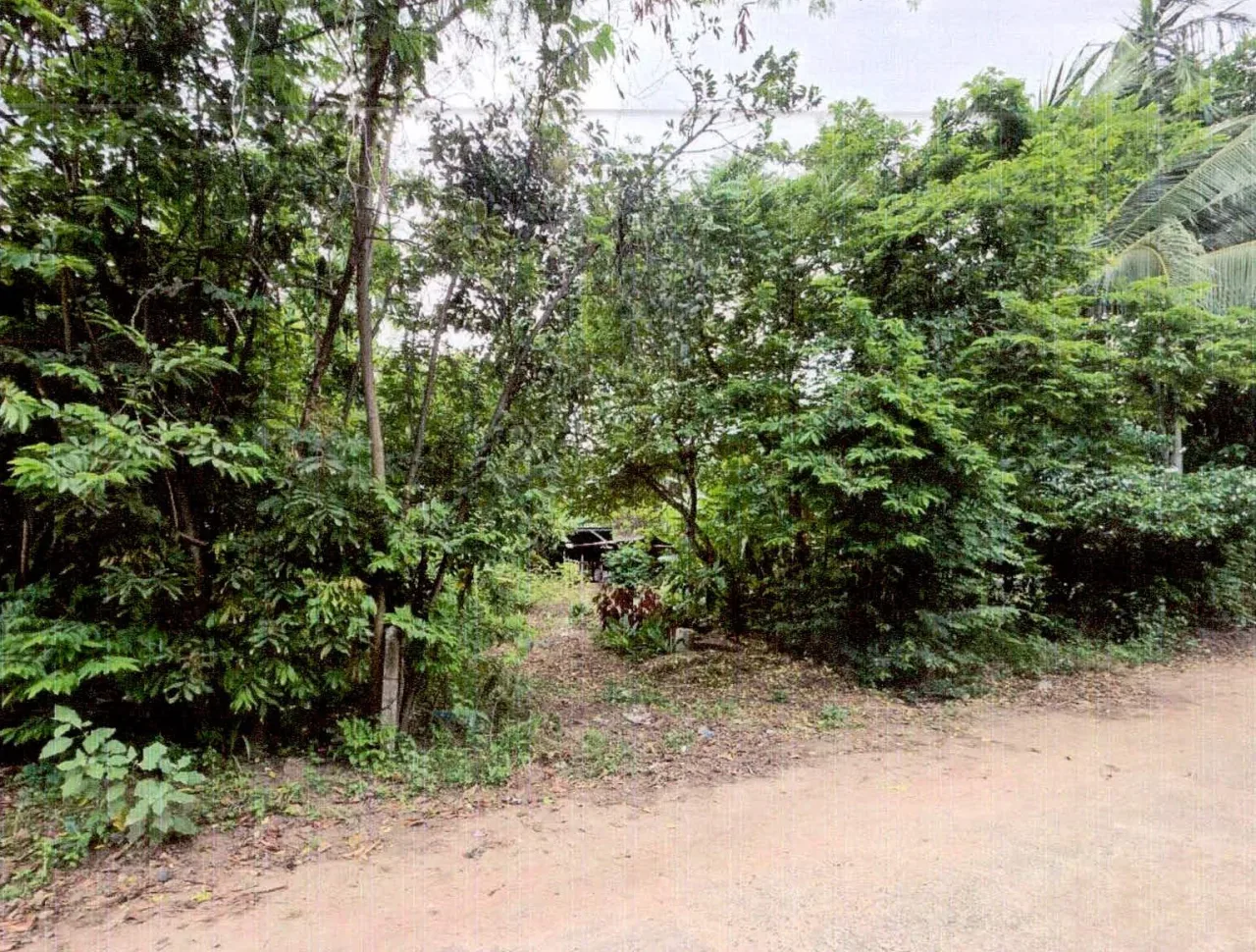ขายทอดตลาด ที่ดินว่างเปล่า ต.ซำ อ.เมืองศรีสะเกษ จ.ศรีสะเกษ