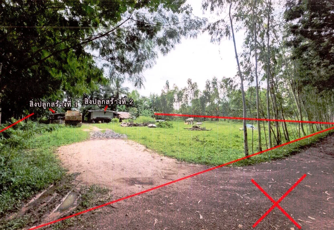 ขายทอดตลาด ที่ดินพร้อมสิ่งปลูกสร้าง ต.ซำ อ.เมืองศรีสะเกษ จ.ศรีสะเกษ