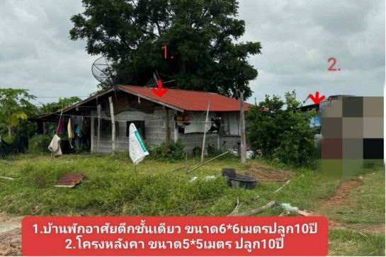 ขายทอดตลาด ที่ดินพร้อมสิ่งปลูกสร้าง ต.หนองแวง อ.สมเด็จ จ.กาฬสินธุ์