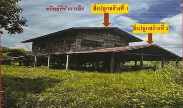 ขายทอดตลาด ที่ดินพร้อมสิ่งปลูกสร้าง ต.ยอดแกง อ.นามน จ.กาฬสินธุ์