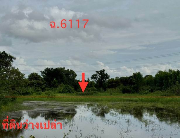 ขายทอดตลาด ที่ดินว่างเปล่า ต.พระธาตุ อ.เชียงขวัญ จ.ร้อยเอ็ด
