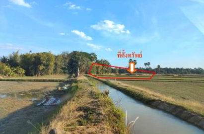 ขายทอดตลาด ที่ดินว่างเปล่า ต.บึงนคร อ.ธวัชบุรี จ.ร้อยเอ็ด