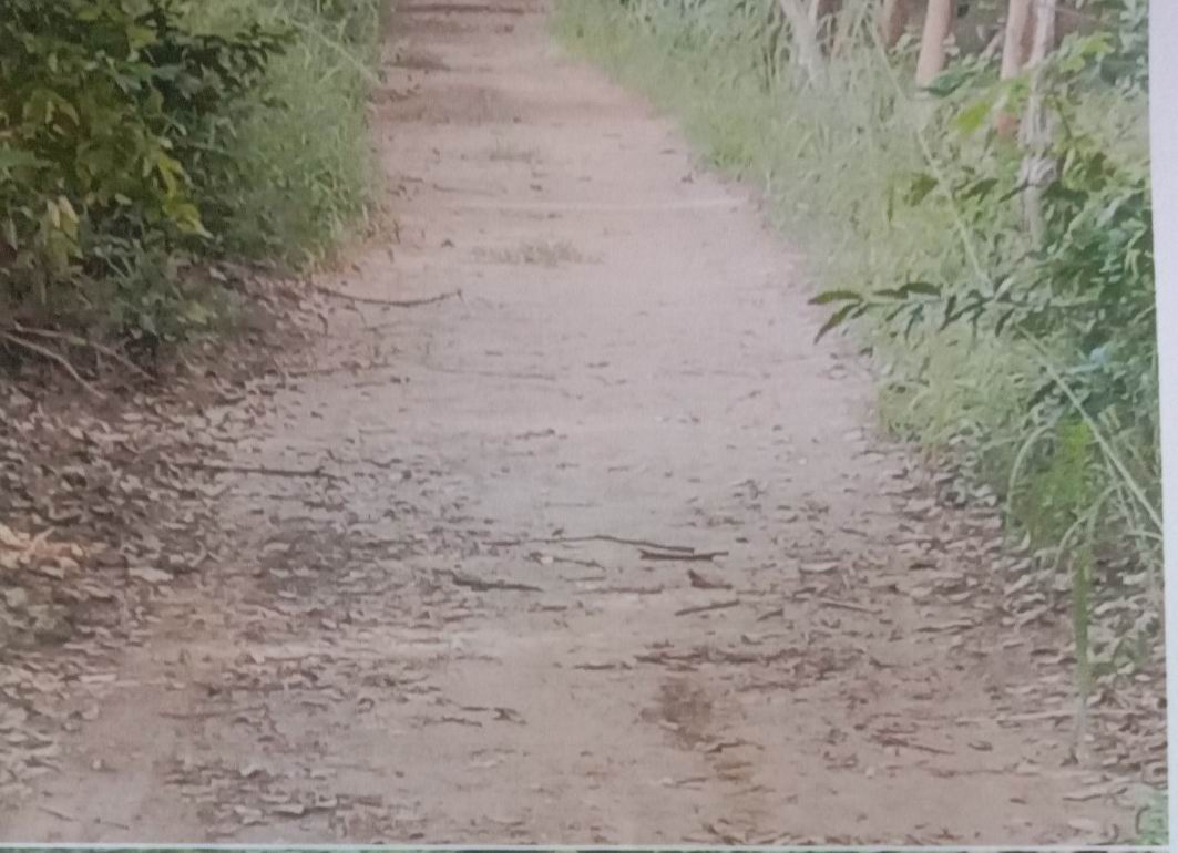 ขายทอดตลาด ที่ดินว่างเปล่า ต.น้ำคำ อ.สุวรรณภูมิ จ.ร้อยเอ็ด