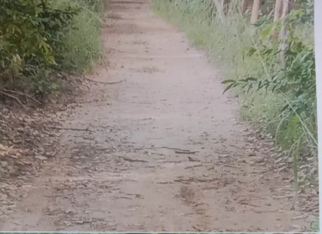 ขายทอดตลาด ที่ดินว่างเปล่า ต.น้ำคำ อ.สุวรรณภูมิ จ.ร้อยเอ็ด
