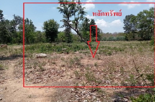 ขายทอดตลาด ที่ดินว่างเปล่า ต.บ้านฝาง อ.เกษตรวิสัย จ.ร้อยเอ็ด