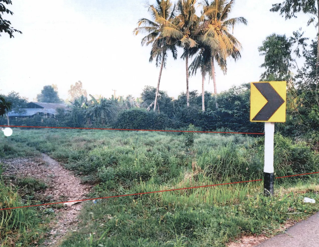 ขายทอดตลาด ที่ดินว่างเปล่า ต.ไพศาล อ.ธวัชบุรี จ.ร้อยเอ็ด