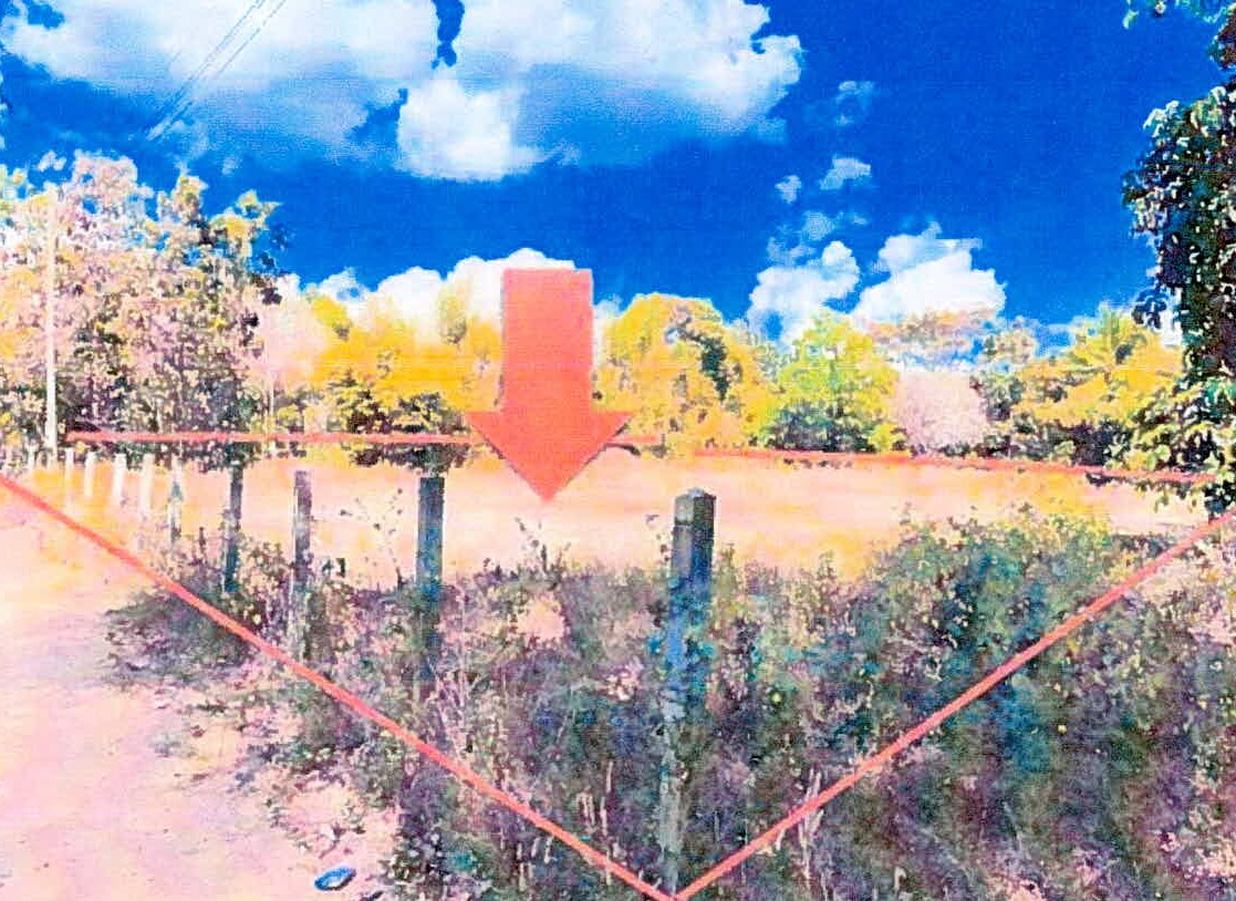 ขายทอดตลาด ที่ดินว่างเปล่า ต.ละทาย อ.กันทรารมย์ จ.ศรีสะเกษ