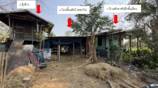 รูปทรัพย์ 2