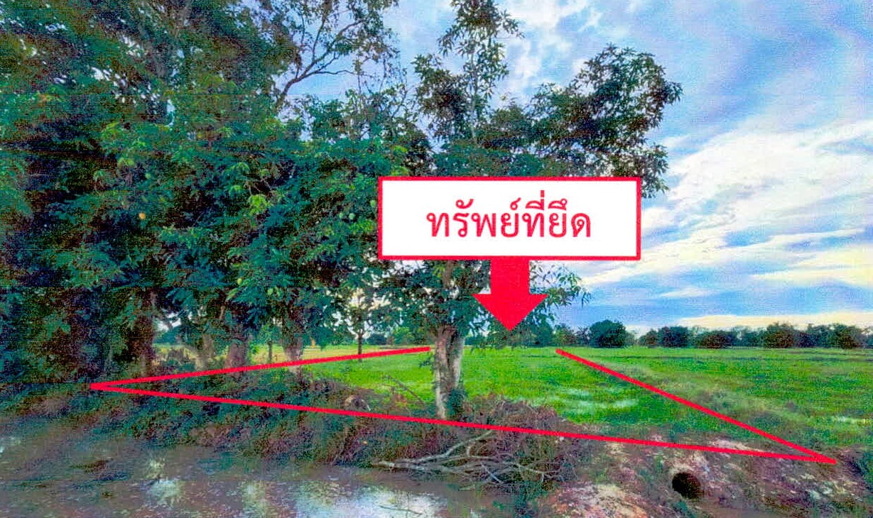 ขายทอดตลาด ที่ดินว่างเปล่า ต.โนนเพ็ก อ.พยุห์ จ.ศรีสะเกษ