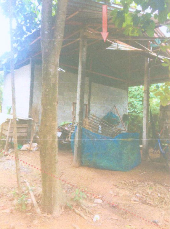 ขายทอดตลาด ที่ดินพร้อมสิ่งปลูกสร้าง ต.นิเวศน์ อ.ธวัชบุรี จ.ร้อยเอ็ด