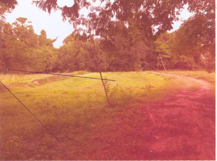 ขายทอดตลาด ที่ดินว่างเปล่า ต.หนองไผ่ อ.ธวัชบุรี จ.ร้อยเอ็ด