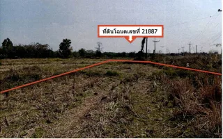 รูปทรัพย์ 2