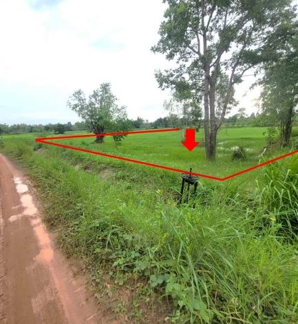 ขายทอดตลาด ที่ดินว่างเปล่า ต.ม่วงนา อ.ดอนจาน จ.กาฬสินธุ์