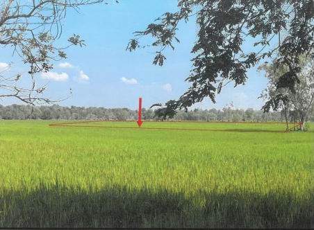 ขายทอดตลาด ที่ดินว่างเปล่า ต.เหนือ อ.เมืองกาฬสินธุ์ จ.กาฬสินธุ์