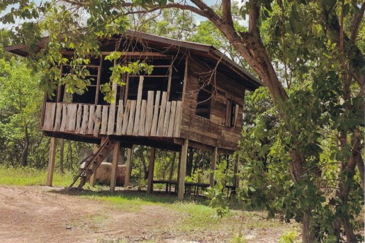 ขายทอดตลาด ที่ดินพร้อมสิ่งปลูกสร้าง ต.ท่าม่วง อ.เสลภูมิ จ.ร้อยเอ็ด