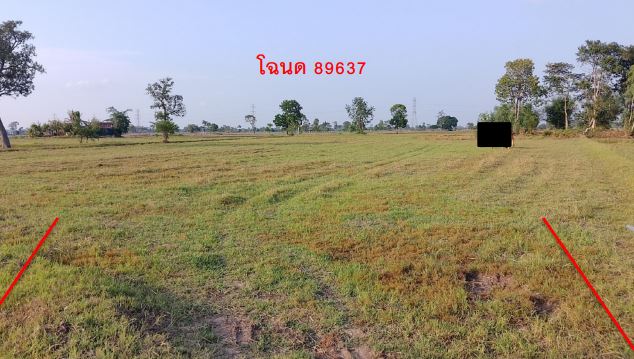 ขายทอดตลาด ที่ดินว่างเปล่า ต.แคนใหญ่ อ.เมืองร้อยเอ็ด จ.ร้อยเอ็ด