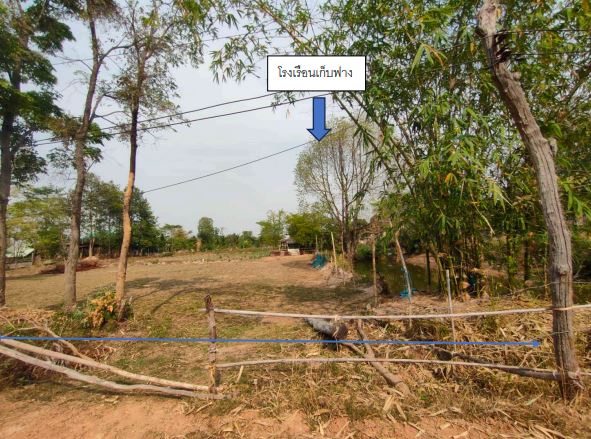 ขายทอดตลาด ที่ดินพร้อมสิ่งปลูกสร้าง ต.ท่าม่วง อ.เสลภูมิ จ.ร้อยเอ็ด