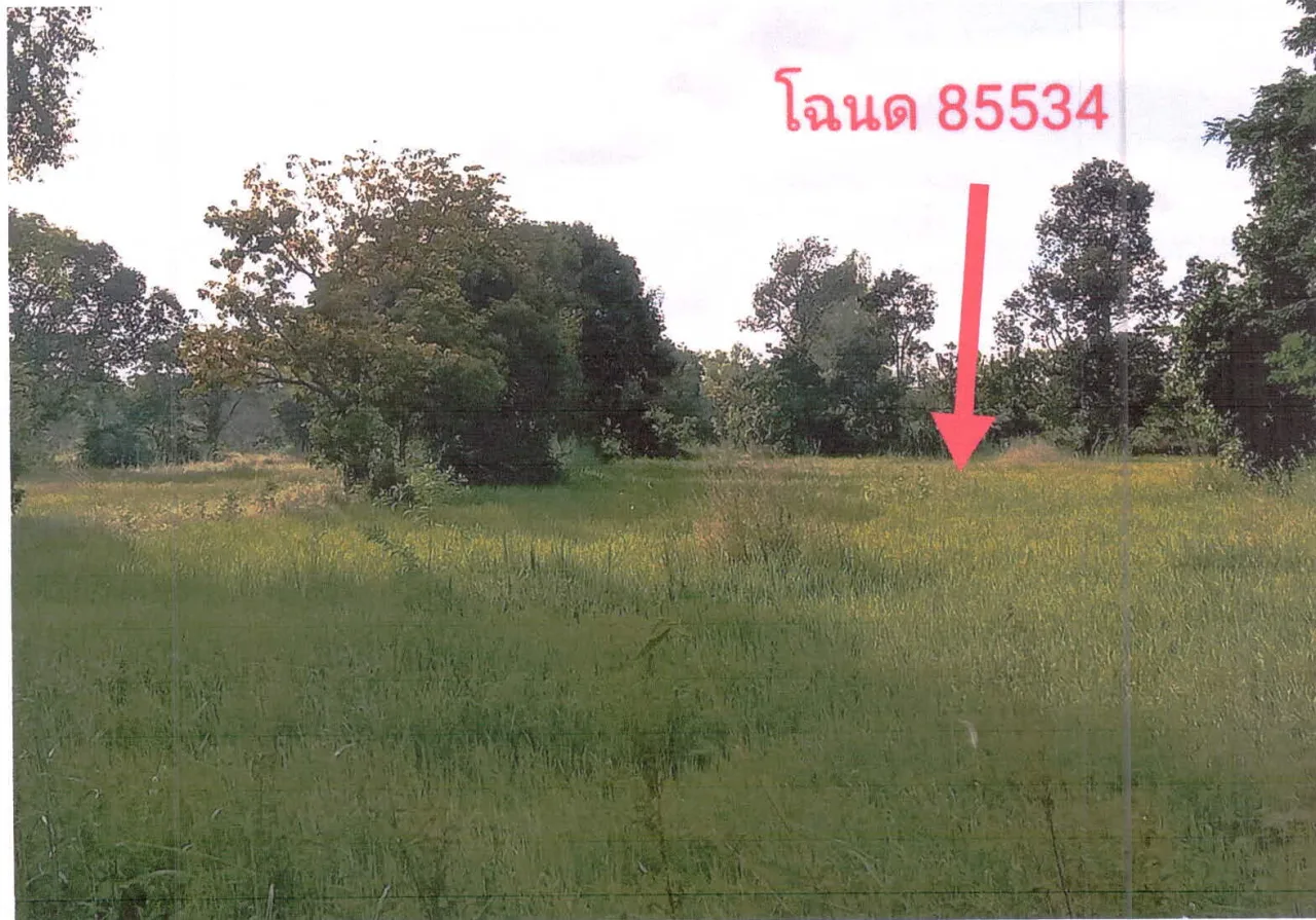 ขายทอดตลาด ที่ดินว่างเปล่า ต.น้ำคำ อ.เมืองศรีสะเกษ จ.ศรีสะเกษ
