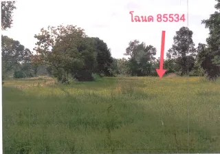 รูปทรัพย์ 1