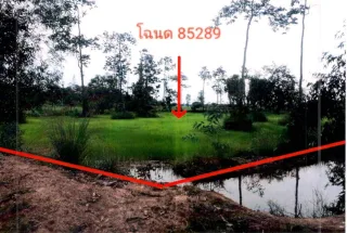 รูปทรัพย์ 2