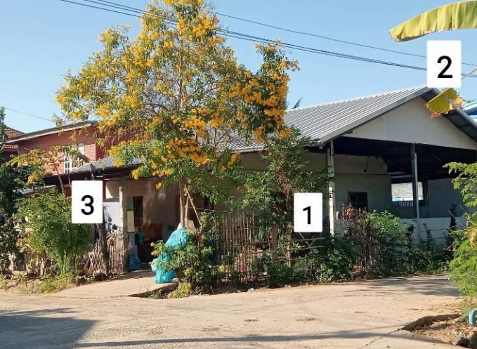 ขายทอดตลาด ที่ดินพร้อมสิ่งปลูกสร้าง ต.ลิ้นฟ้า อ.จตุรพักตรพิมาน จ.ร้อยเอ็ด