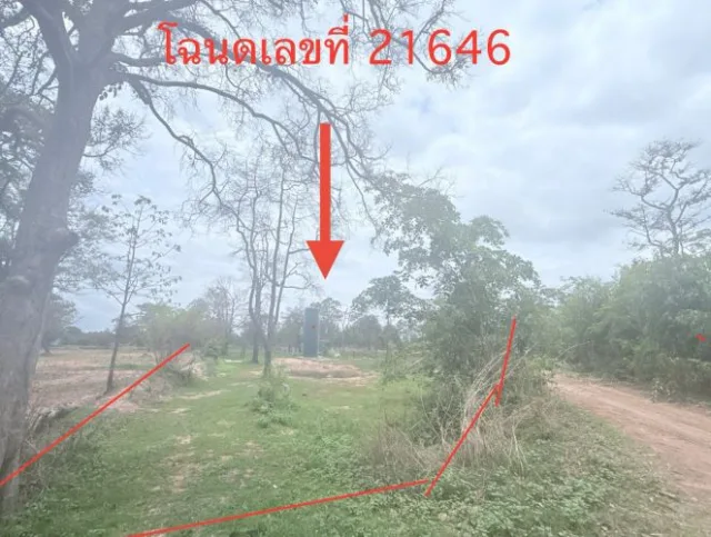 ขายทอดตลาด ที่ดินว่างเปล่า ต.ทุ่งศรีเมือง อ.สุวรรณภูมิ จ.ร้อยเอ็ด