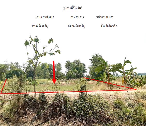 ขายทอดตลาด ที่ดินว่างเปล่า ต.เชียงขวัญ อ.เชียงขวัญ จ.ร้อยเอ็ด