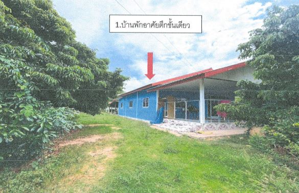 ขายทอดตลาด ที่ดินพร้อมสิ่งปลูกสร้าง ต.สระคู อ.สุวรรณภูมิ จ.ร้อยเอ็ด