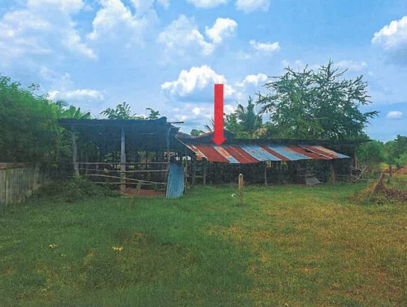 ขายทอดตลาด ที่ดินพร้อมสิ่งปลูกสร้าง ต.แสนสุข อ.พนมไพร จ.ร้อยเอ็ด