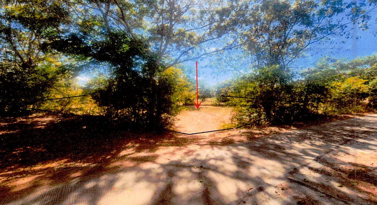 ขายทอดตลาด ที่ดินว่างเปล่า ต.เป๊าะ อ.บึงบูรพ์ จ.ศรีสะเกษ