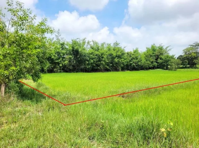 ขายทอดตลาด ที่ดินว่างเปล่า ต.แวง อ.โพนทอง จ.ร้อยเอ็ด