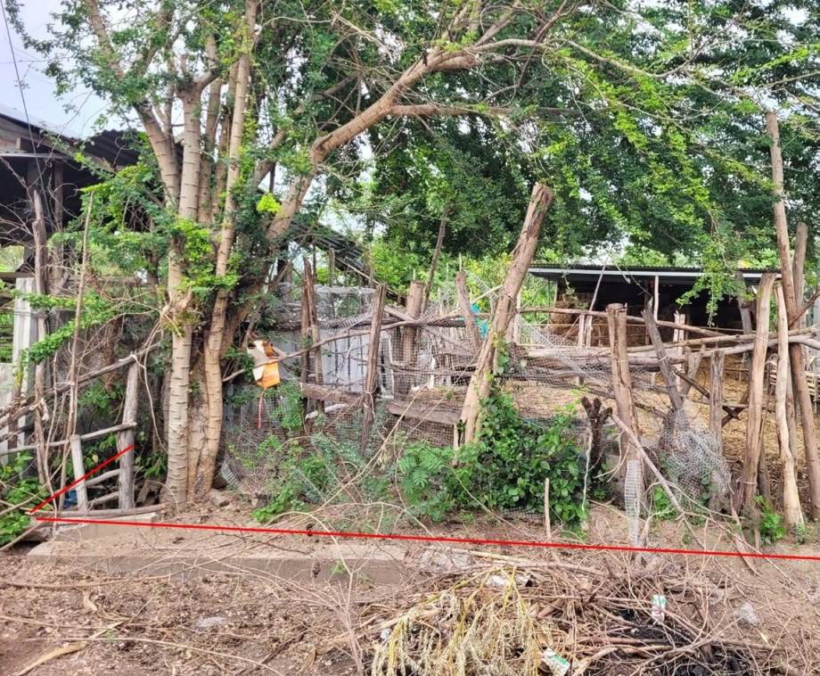 ขายทอดตลาด ที่ดินพร้อมสิ่งปลูกสร้าง ต.เมืองบัว อ.เกษตรวิสัย จ.ร้อยเอ็ด