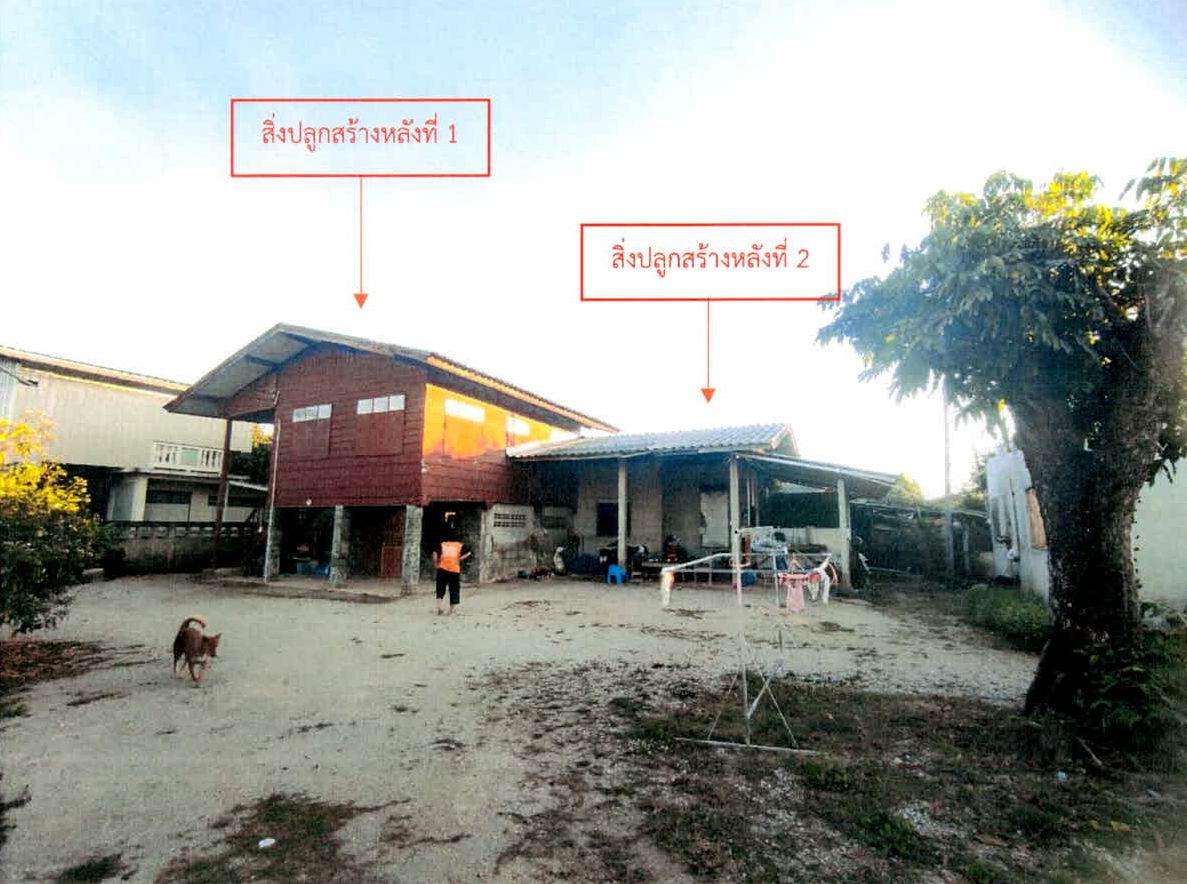 ขายทอดตลาด ที่ดินพร้อมสิ่งปลูกสร้าง ต.นาครัว อ.แม่ทะ จ.ลำปาง