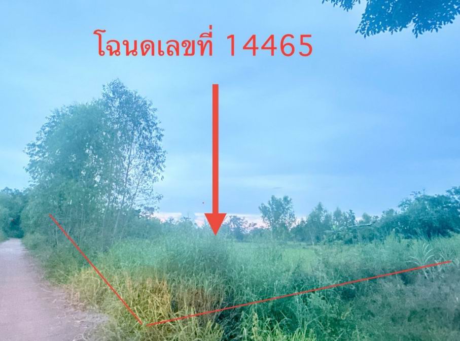 ขายทอดตลาด ที่ดินว่างเปล่า ต.นามน อ.นามน จ.กาฬสินธุ์