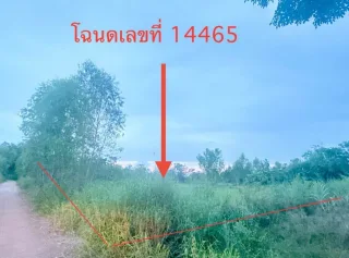 รูปทรัพย์ 1