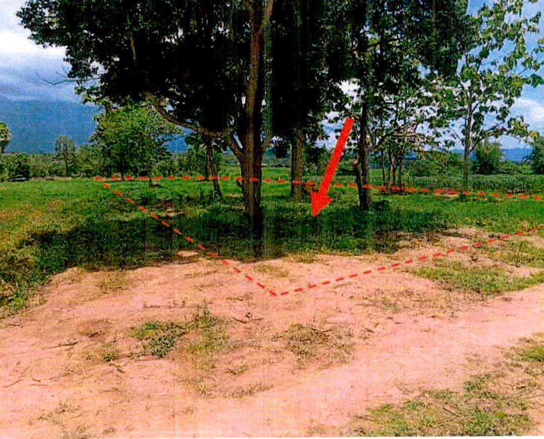 ขายทอดตลาด ที่ดินว่างเปล่า ต.ใหม่พัฒนา อ.เกาะคา จ.ลำปาง