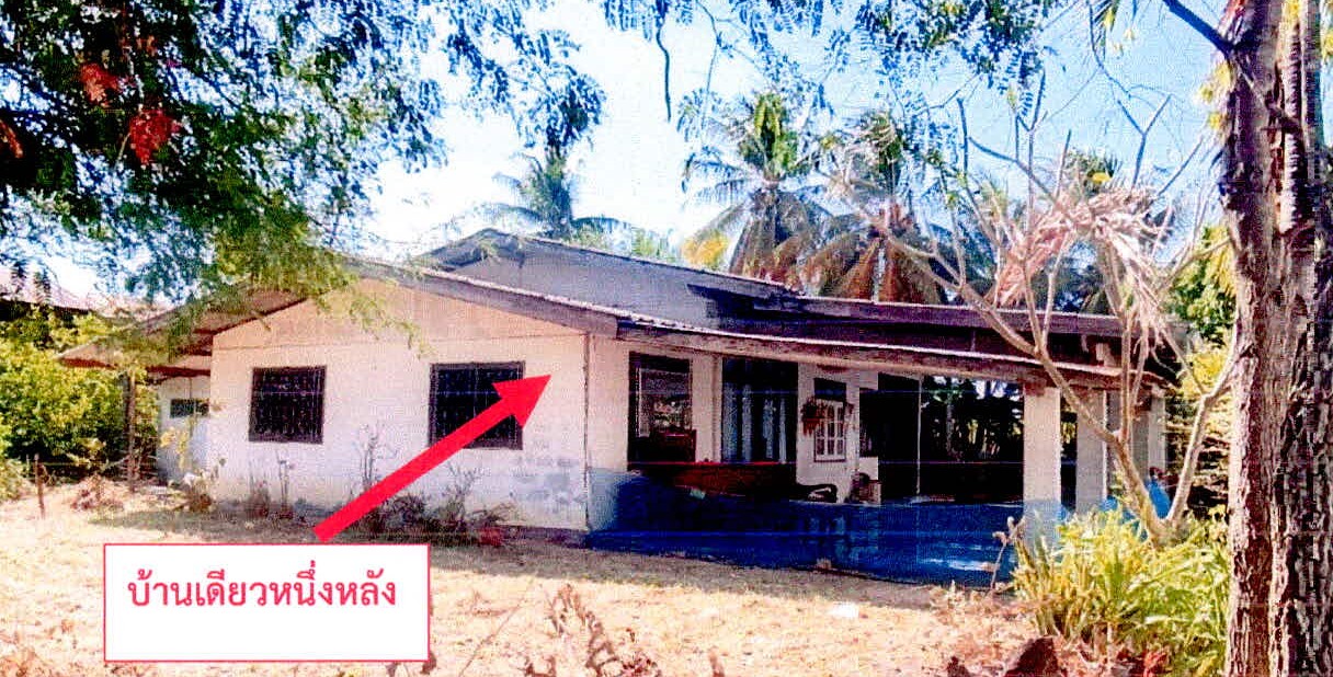 ขายทอดตลาด ที่ดินพร้อมสิ่งปลูกสร้าง ต.แขม อ.อุทุมพรพิสัย จ.ศรีสะเกษ