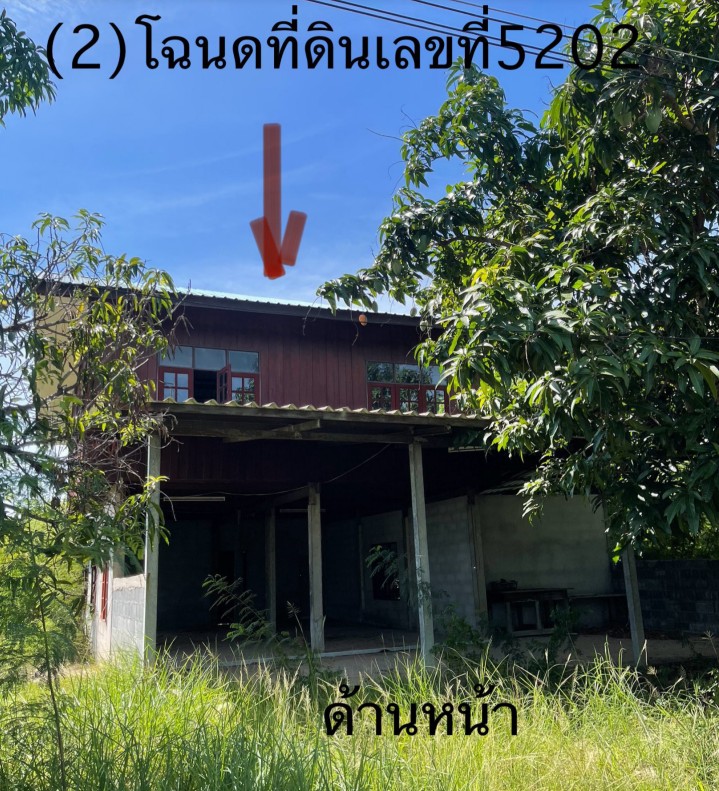 ขายทอดตลาด ที่ดินพร้อมสิ่งปลูกสร้าง ต.หนองแคน อ.ปทุมรัตต์ จ.ร้อยเอ็ด